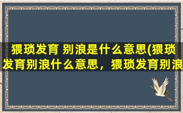 猥琐发育 别浪是什么意思(猥琐发育别浪什么意思，猥琐发育别浪下一句是什么)